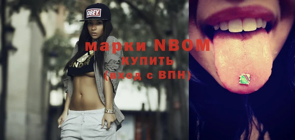 стафф Тайга
