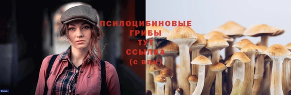 экстази Сясьстрой