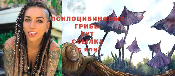 экстази Сясьстрой