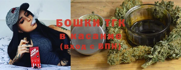 стафф Тавда
