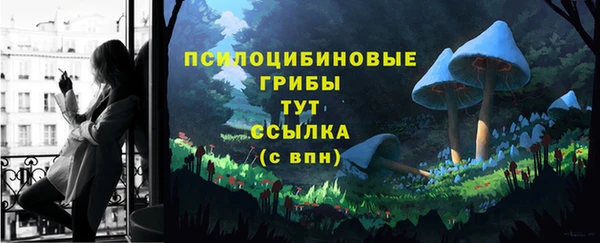 экстази Сясьстрой