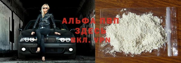 стафф Тайга